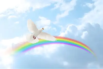 dove of peace